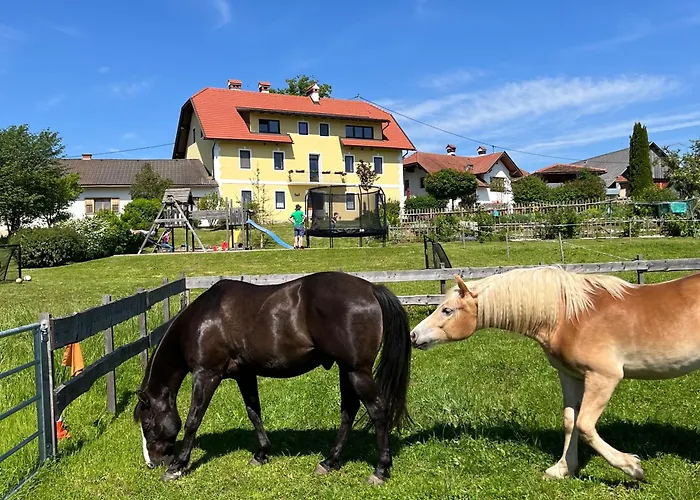Rutarhof