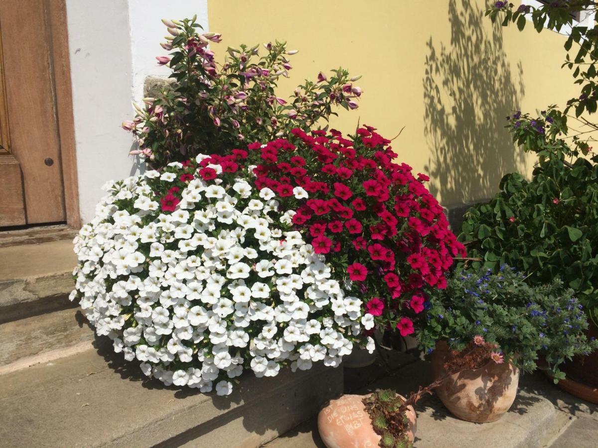 Rutarhof Rosegg